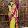 kanchi cotton saree with Running Blouse- Ganga Jamuna Border- Light Green (pre booking 29/9/25 Dispatch)